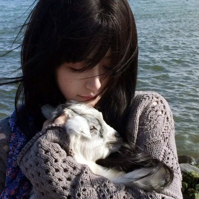 青木原树海